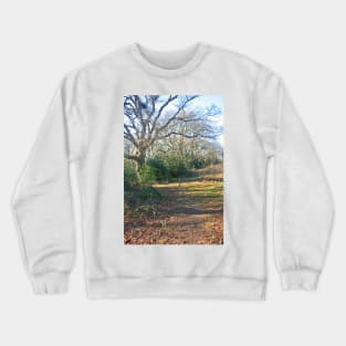 Puck's Dell, North Bournemouth, February 2021 Crewneck Sweatshirt